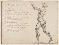 KT 2001 142
<br/>
Geraamtens en Anatomi Beelden
<br/>
<em>Claterbos, Augustijn (1750-1828)</em>